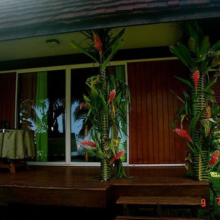 Tauhanihani Village Lodge La Vague Bleue Teahupoo Eksteriør bilde
