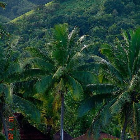 Tauhanihani Village Lodge La Vague Bleue Teahupoo Eksteriør bilde