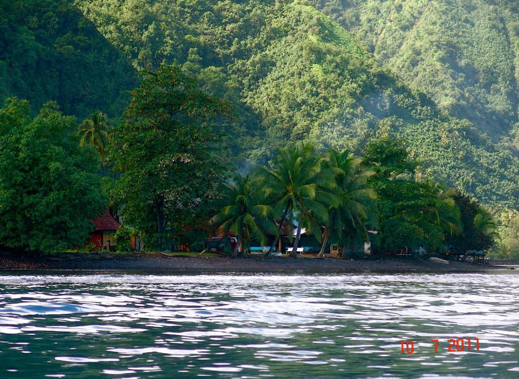 Tauhanihani Village Lodge La Vague Bleue Teahupoo Eksteriør bilde