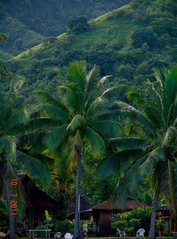 Tauhanihani Village Lodge La Vague Bleue Teahupoo Eksteriør bilde